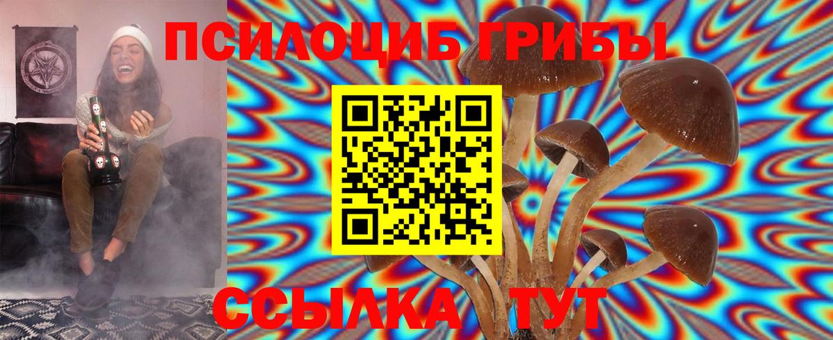 Псилоцибиновые грибы мухоморы Кулебаки